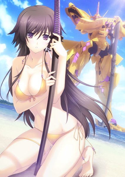 Anime picture 2268x3208 with muvluv total eclipse muv-luv takamura yui long hair tall image highres breasts light erotic black hair red eyes cloud (clouds) girl weapon swimsuit bikini sword katana robot mecha