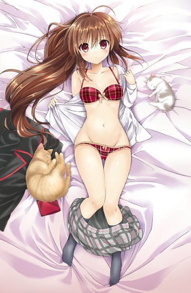 Anime picture 722x1108 with little busters! key (studio) natsume rin tsukako long hair tall image looking at viewer blush light erotic red eyes brown hair ponytail lying open clothes open shirt side ponytail girl navel underwear panties