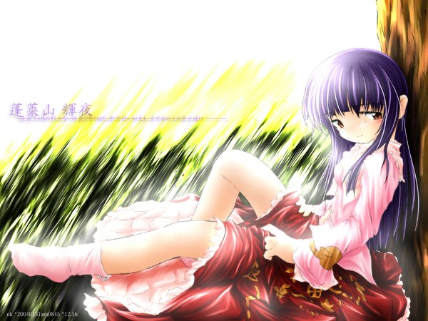 Anime picture 1024x768 with touhou houraisan kaguya girl tagme