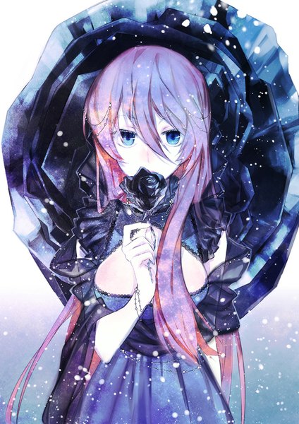 Anime picture 723x1023 with vocaloid megurine luka kazune (baumkuchen) single long hair tall image looking at viewer breasts blue eyes large breasts holding pink hair alternate costume snowing alternate hairstyle gothic girl flower (flowers) rose (roses) black rose