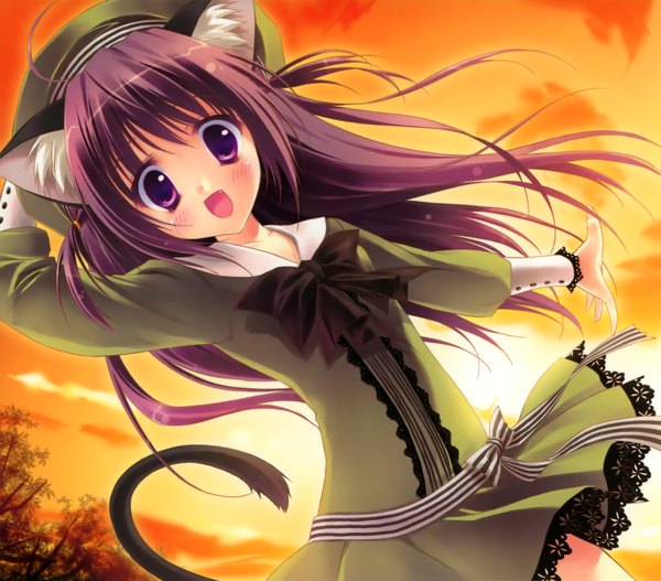Anime-Bild 2788x2453 mit highres purple eyes animal ears purple hair tail cat girl girl hat
