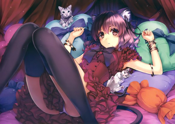 Anime picture 2779x1974 with original misaki kurehito single looking at viewer highres short hair light erotic purple eyes animal ears purple hair cat ears scan knees together feet apart girl thighhighs dress black thighhighs animal frills bracelet