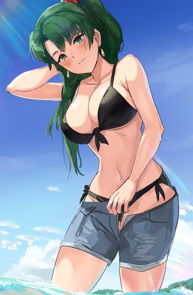Anime picture 1983x3035 with fire emblem fire emblem: the blazing blade nintendo lyndis (fire emblem) ormille single long hair tall image looking at viewer blush fringe highres breasts light erotic smile large breasts standing bare shoulders green eyes sky