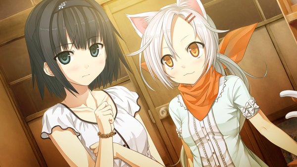 Anime picture 2560x1440 with monobeno alishima alice chima (monobeno) cura long hair highres short hair blue eyes black hair wide image multiple girls animal ears yellow eyes game cg white hair cat ears cat girl girl 2 girls