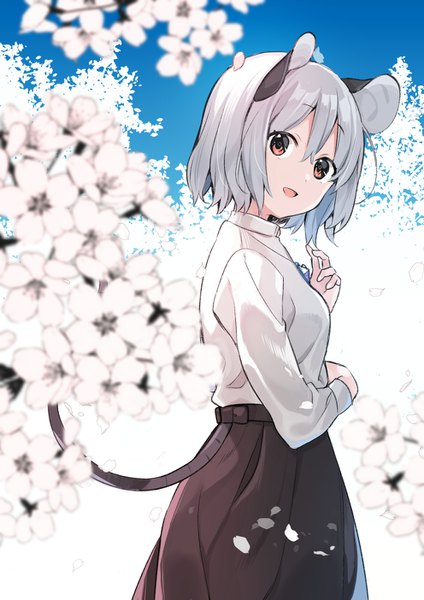 Anime picture 992x1403 with touhou nazrin akagashi hagane single tall image looking at viewer fringe short hair hair between eyes red eyes animal ears silver hair tail animal tail looking back alternate costume cherry blossoms mouse ears mouse tail mouse girl