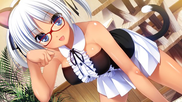 Anime picture 1280x720 with grisaia no kajitsu fumio (ura fmo) blush short hair open mouth blue eyes wide image animal ears game cg white hair cat ears cat girl cat tail girl dress glasses