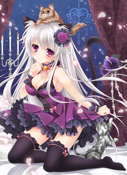 Anime picture 800x1097 with original rinka (yuyutei) long hair tall image blush purple eyes bare shoulders animal ears cleavage white hair tail animal tail cat ears cat girl cat tail girl thighhighs dress flower (flowers) black thighhighs