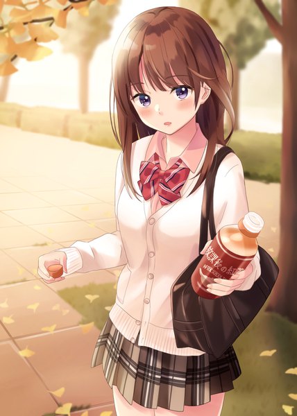 Anime picture 1200x1683 with original yukimaru217 single long hair tall image looking at viewer blush fringe breasts open mouth brown hair large breasts standing purple eyes holding outdoors blunt bangs pleated skirt blurry depth of field