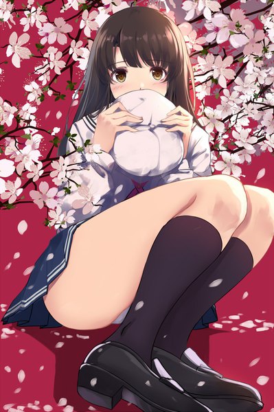 Anime picture 1100x1653 with saenai heroine no sodatekata a-1 pictures katou megumi caidychen single long hair tall image looking at viewer blush fringe light erotic simple background brown hair sitting holding brown eyes full body bent knee (knees) blunt bangs pleated skirt