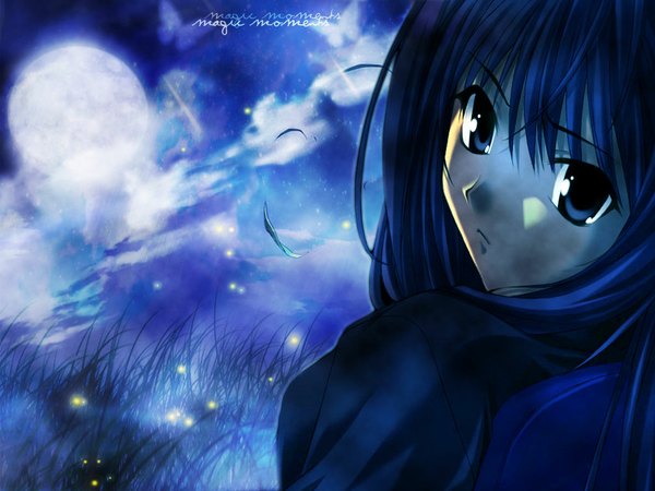Anime picture 1024x768 with blue eyes blue hair night close-up moon