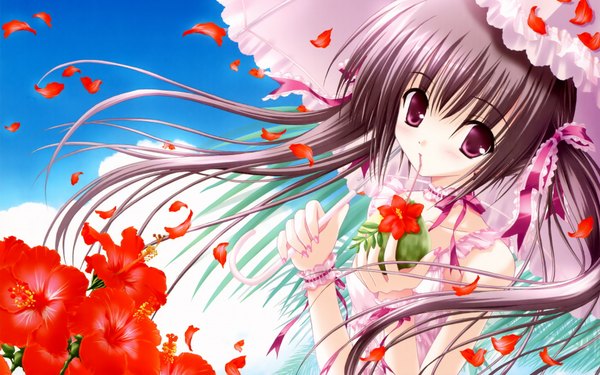 Anime picture 1920x1200 with original tinker bell single looking at viewer blush highres black hair wide image purple eyes twintails loli girl dress flower (flowers) petals umbrella hibiscus
