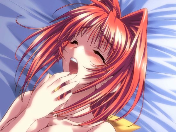 Anime picture 1024x768 with muv-luv kagami sumika blush open mouth light erotic red hair eyes closed topless hands