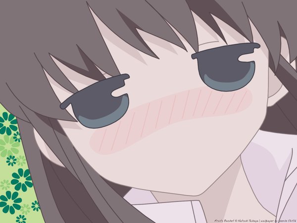 Anime picture 1600x1200 with fruits basket studio deen honda tooru close-up tagme