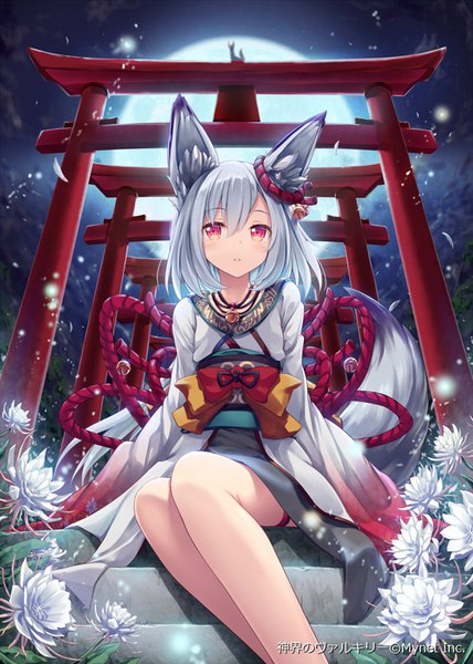 Anime-Bild 571x800 mit shinkai no valkyrie akkijin single tall image fringe short hair hair between eyes red eyes sitting animal ears looking away silver hair tail long sleeves traditional clothes japanese clothes animal tail night bare legs night sky