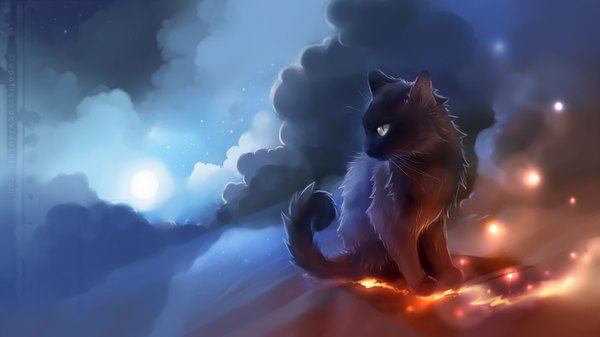 Anime picture 1920x1080 with original apofiss highres wide image signed sky cloud (clouds) night sky no people animal moon cat full moon fireflies