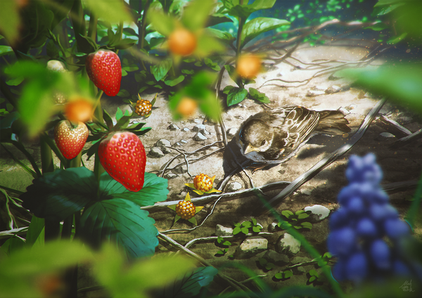 Anime picture 1376x973 with original mocha (cotton) blurry depth of field no people scenic nature plant (plants) animal water food bird (birds) leaf (leaves) branch berry (berries) strawberry