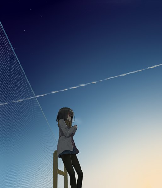 Anime picture 1000x1166 with original uttt single tall image short hair black hair brown eyes looking away sky evening sunset girl pantyhose shorts scarf star (stars) fence