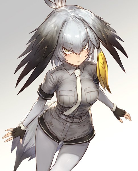 Аниме картинка 840x1040 с ушастые друзья shoebill (kemono friends) guchico один (одна) высокое изображение смотрит на зрителя чёлка короткие волосы простой фон волосы между глазами жёлтые глаза серебряные волосы хвост вид сверху градиентный фон крылья на голове девушка перчатки колготки крылья