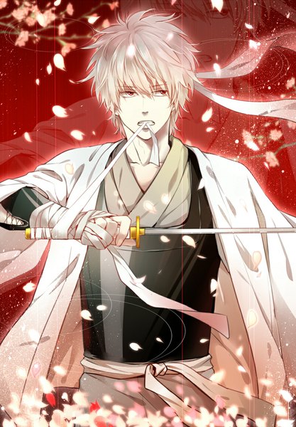 Anime picture 800x1150 with gintama sunrise (studio) sakata gintoki ke (pixiv) single tall image fringe short hair holding brown eyes looking away silver hair traditional clothes japanese clothes wind mouth hold cherry blossoms red background clenched teeth samurai