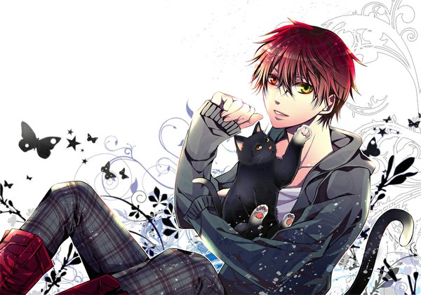 Anime picture 1000x702 with kuroko no basket production i.g akashi seijuurou single looking at viewer fringe short hair hair between eyes red eyes sitting yellow eyes red hair tail animal tail sparkle cat tail hug heterochromia sleeves past wrists plaid