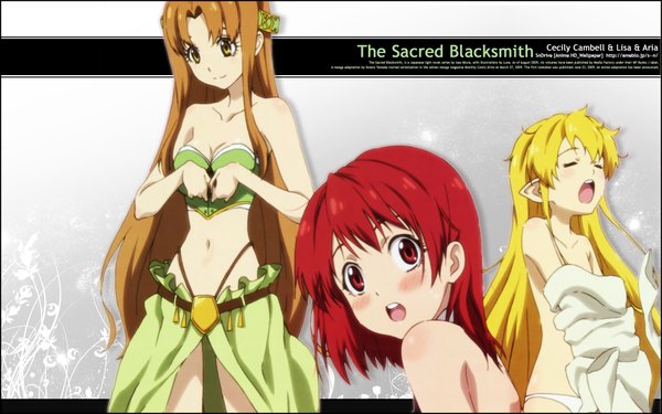 Anime picture 1920x1200 with seiken no blacksmith cecily cambell lisa aria (seiken no blacksmith) highres wide image