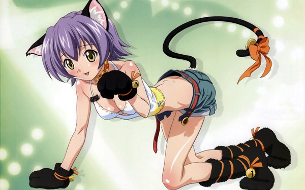Anime picture 1680x1050 with mahou sensei negima! izumi ako light erotic wide image animal ears cat girl girl