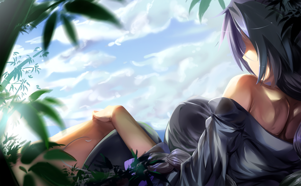 Anime picture 1618x1000 with touhou yagokoro eirin initial f single short hair wide image blue hair sky cloud (clouds) no face girl dress plant (plants) leaf (leaves)
