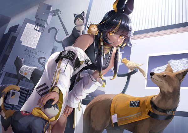 Anime picture 4093x2894 with girls frontline girls' frontline neural cloud imhotep (neural cloud) numaguro (tomokun0808) single long hair looking at viewer fringe highres black hair standing animal ears yellow eyes absurdres indoors blunt bangs nail polish parted lips multicolored hair fingernails