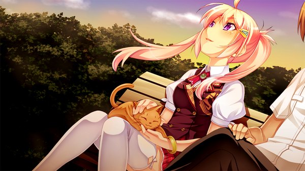 Anime picture 1024x576 with legend seven (game) long hair blush wide image purple eyes twintails pink hair game cg ahoge girl thighhighs uniform school uniform white thighhighs cat