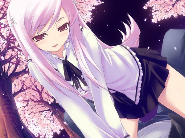 Anime picture 1024x768 with to heart 2 leaf (studio) lucy maria misora kawata hisashi blush light erotic pink hair game cg cherry blossoms girl on top straddle skirt hair ornament plant (plants) tree (trees) hairpin (hairpins)