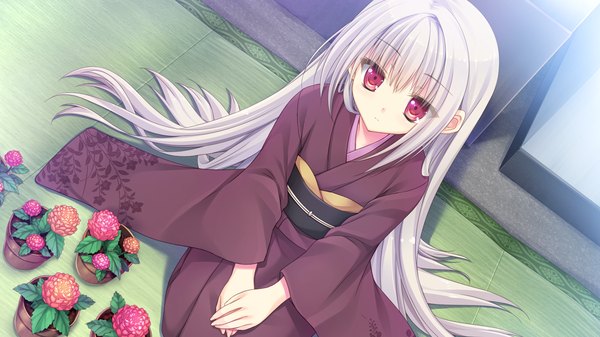 Anime picture 1280x720 with hare nochi kitto nanohana biyori single long hair looking at viewer red eyes wide image game cg white hair traditional clothes japanese clothes girl flower (flowers) kimono obi