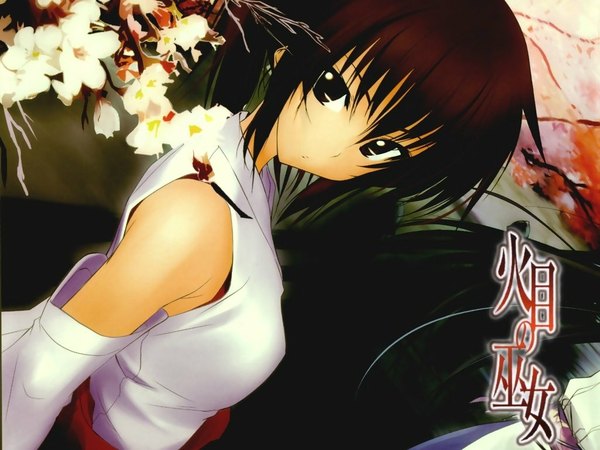 Anime picture 1024x768 with japanese clothes miko tagme
