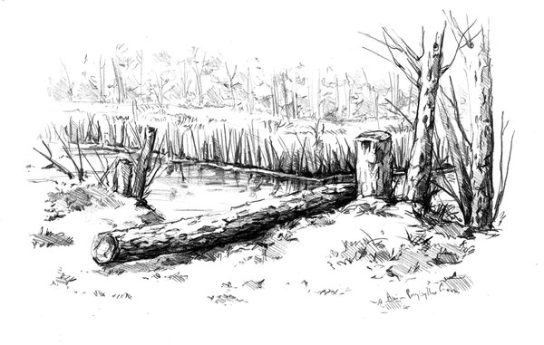 Anime picture 1752x1115 with original dzun highres monochrome landscape traditional media lake village graphite (medium) plant (plants) tree (trees) water branch pencil trunk