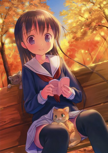 Anime picture 2336x3300 with takoyaki (roast) single long hair tall image looking at viewer fringe highres blue eyes smile brown hair sitting holding sky outdoors sunlight scan zettai ryouiki autumn girl thighhighs
