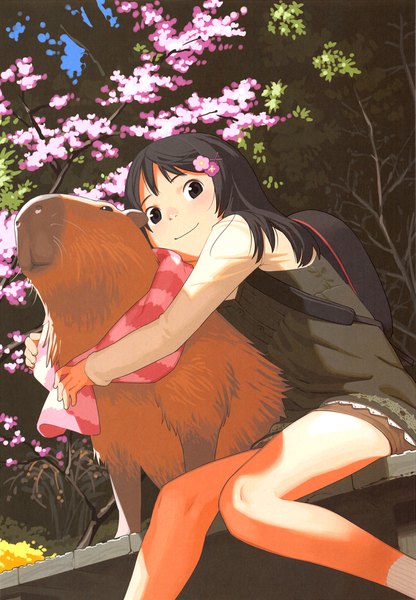 Anime picture 1123x1620 with original takamichi single long hair tall image looking at viewer fringe black hair smile sitting long sleeves black eyes scan shadow from below hug cherry blossoms knees together feet apart girl dress