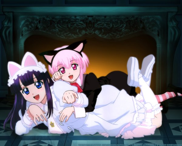 Anime picture 1280x1024 with tsukuyomi moon phase shaft (studio) hazuki artemis (tsukuyomi) animal ears cat girl girl dress