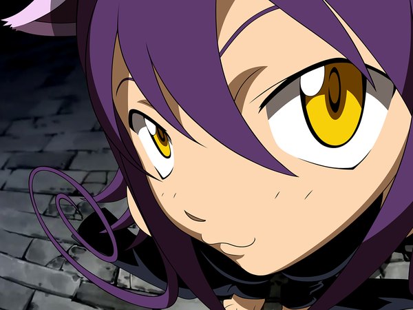 Anime picture 1600x1200 with soul eater studio bones blair animal ears yellow eyes cat girl close-up girl tagme