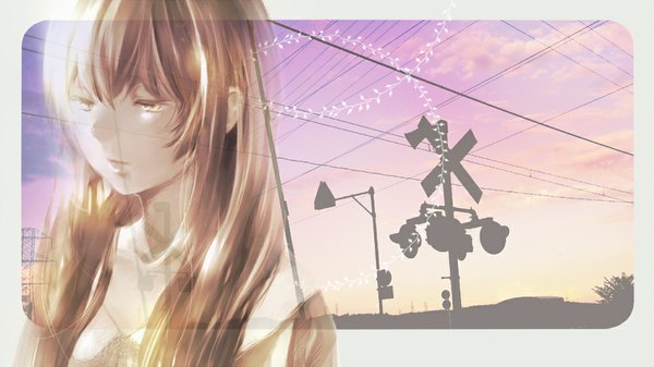 Anime picture 1000x562 with vocaloid megurine luka ebisu kana single long hair brown hair wide image brown eyes sky cloud (clouds) girl power lines traffic sign megaphone traffic lights sign