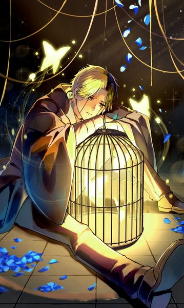 Anime picture 1226x2048 with mashle a-1 pictures rayne ames empty usano single tall image short hair black hair blonde hair sitting looking away multicolored hair two-tone hair boy petals insect butterfly cage