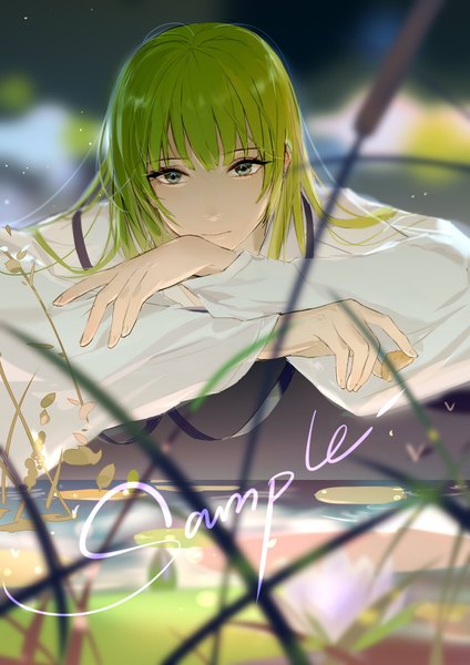 Anime picture 1448x2048 with fate (series) fate/strange fake enkidu (fate) rrr (reason) single long hair tall image looking at viewer fringe holding blunt bangs green hair grey eyes boy