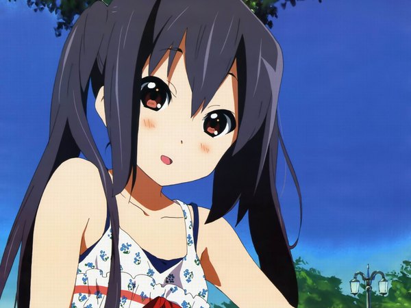 Anime picture 1600x1200 with k-on! kyoto animation nakano azusa jpeg artifacts tagme