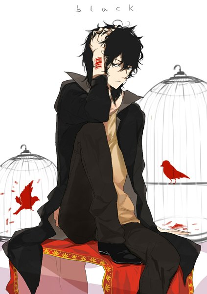 Anime picture 839x1190 with original miro (weihanzhang513) single tall image short hair black hair simple background white background looking away black eyes open clothes open jacket boy animal jacket bird (birds) cloak cage barcode