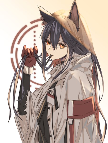 Anime picture 1700x2250 with arknights texas (arknights) texas (winter messenger) (arknights) kawausoman single long hair tall image looking at viewer fringe black hair hair between eyes animal ears upper body orange eyes official alternate costume expressionless wolf ears holding hair hair in mouth girl