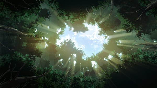 Anime picture 2560x1440 with grisaia no kajitsu highres wide image game cg sunlight landscape nature plant (plants) tree (trees) forest