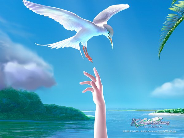 Anime picture 1600x1200 with kagaya sky landscape nature 3d animal sea bird (birds) seagull