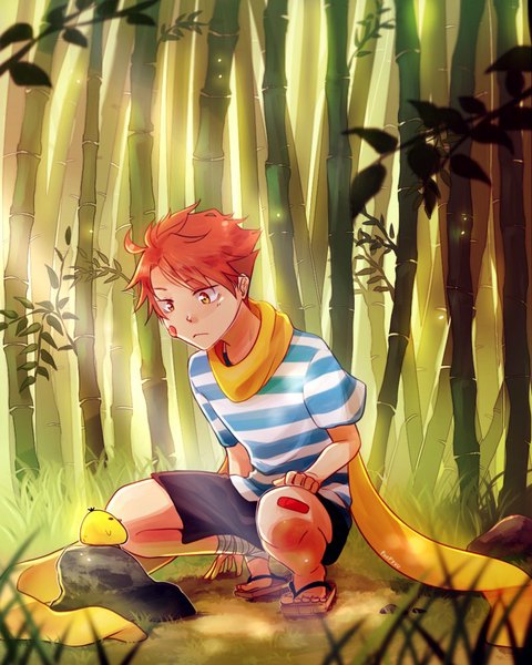 Anime picture 800x1000 with original 4dreams single tall image short hair signed red hair heterochromia looking down squat striped bandaid on face boy plant (plants) animal shorts scarf bird (birds) bandage (bandages) bandaid