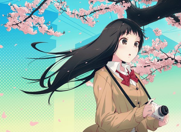 Anime picture 1335x972 with original 40hara single open mouth black hair brown eyes cherry blossoms girl flower (flowers) plant (plants) petals tree (trees) bowtie sweater camera