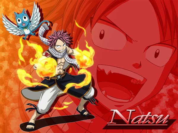Anime picture 1024x768 with fairy tail natsu dragneel happy (fairy tail) short hair open mouth smile pink hair black eyes inscription tattoo magic muscle zoom layer boy animal wings scarf cat fire