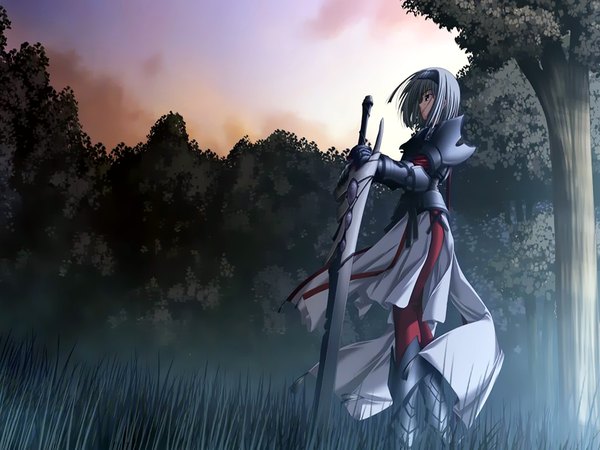 Anime picture 1600x1200 with primitive link purple software single looking away silver hair girl weapon plant (plants) sword tree (trees) grass huge weapon armored dress