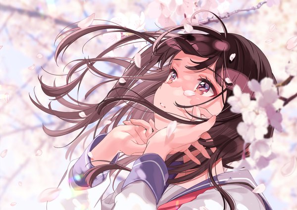 Anime picture 1800x1273 with original shigure ui single long hair fringe highres brown hair brown eyes upper body outdoors parted lips wind blurry depth of field cherry blossoms looking up spring girl uniform flower (flowers)